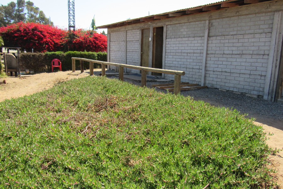 Zona de Baos