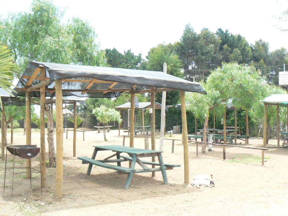 Foto8
