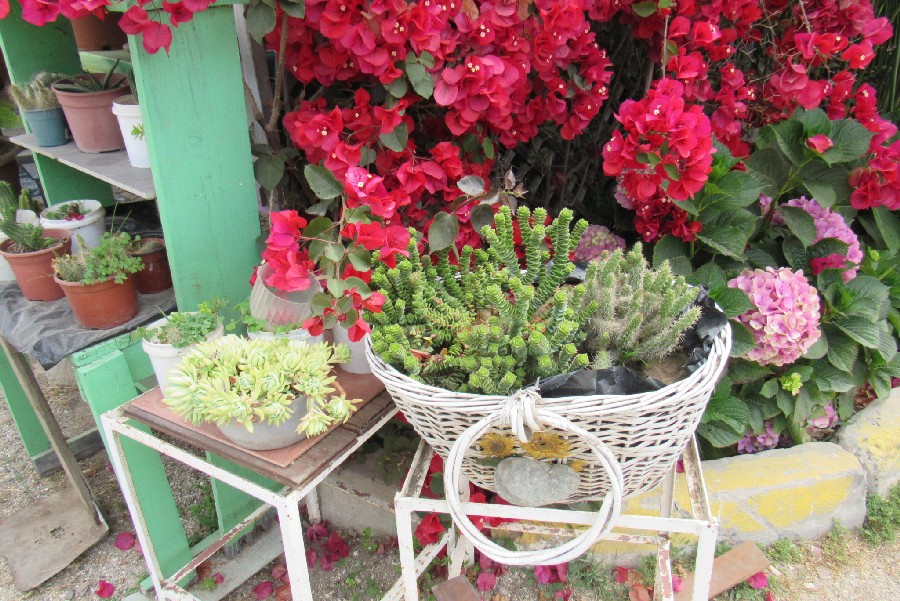 Foto9